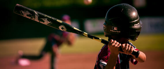 DEJEPS BSC - Baseball Softball Cricket