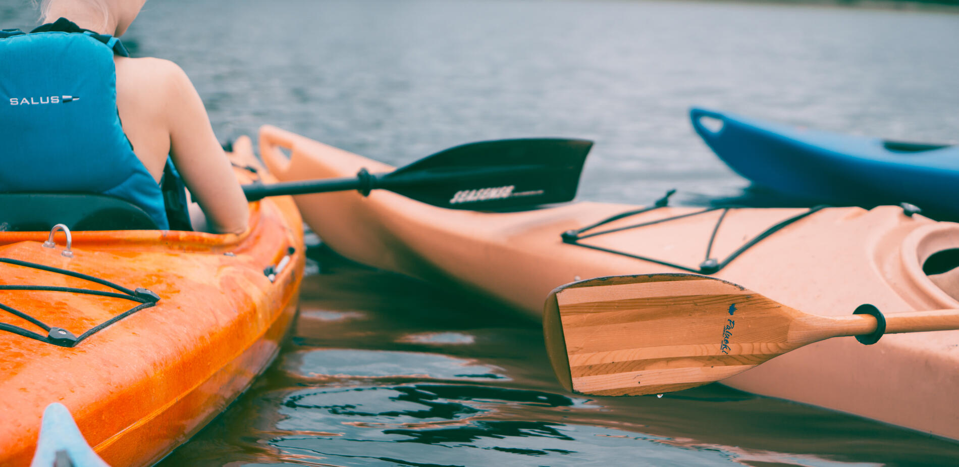 BPJEPS CK - Canoë Kayak et Disciplines Associées Eau Calme - Eau vive