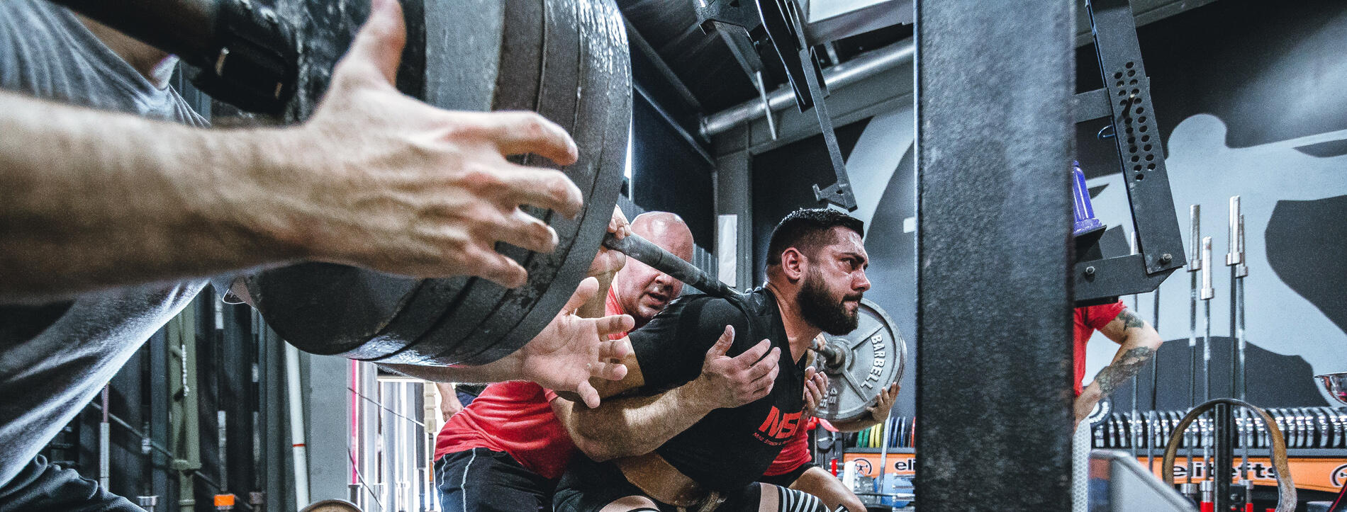 BPJEPS AF HM - Activités de la forme - Halterophilie-musculation